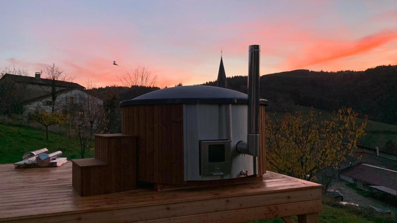Domaine De La Rue De La Tour Bed & Breakfast Valsonne Luaran gambar