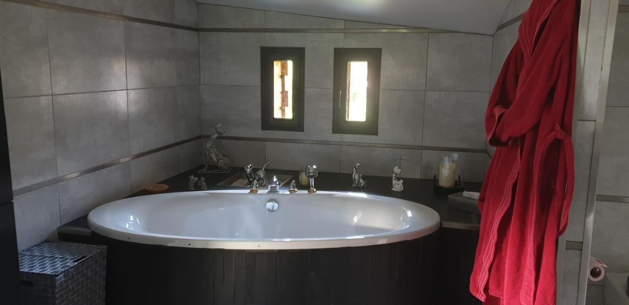 Domaine De La Rue De La Tour Bed & Breakfast Valsonne Luaran gambar